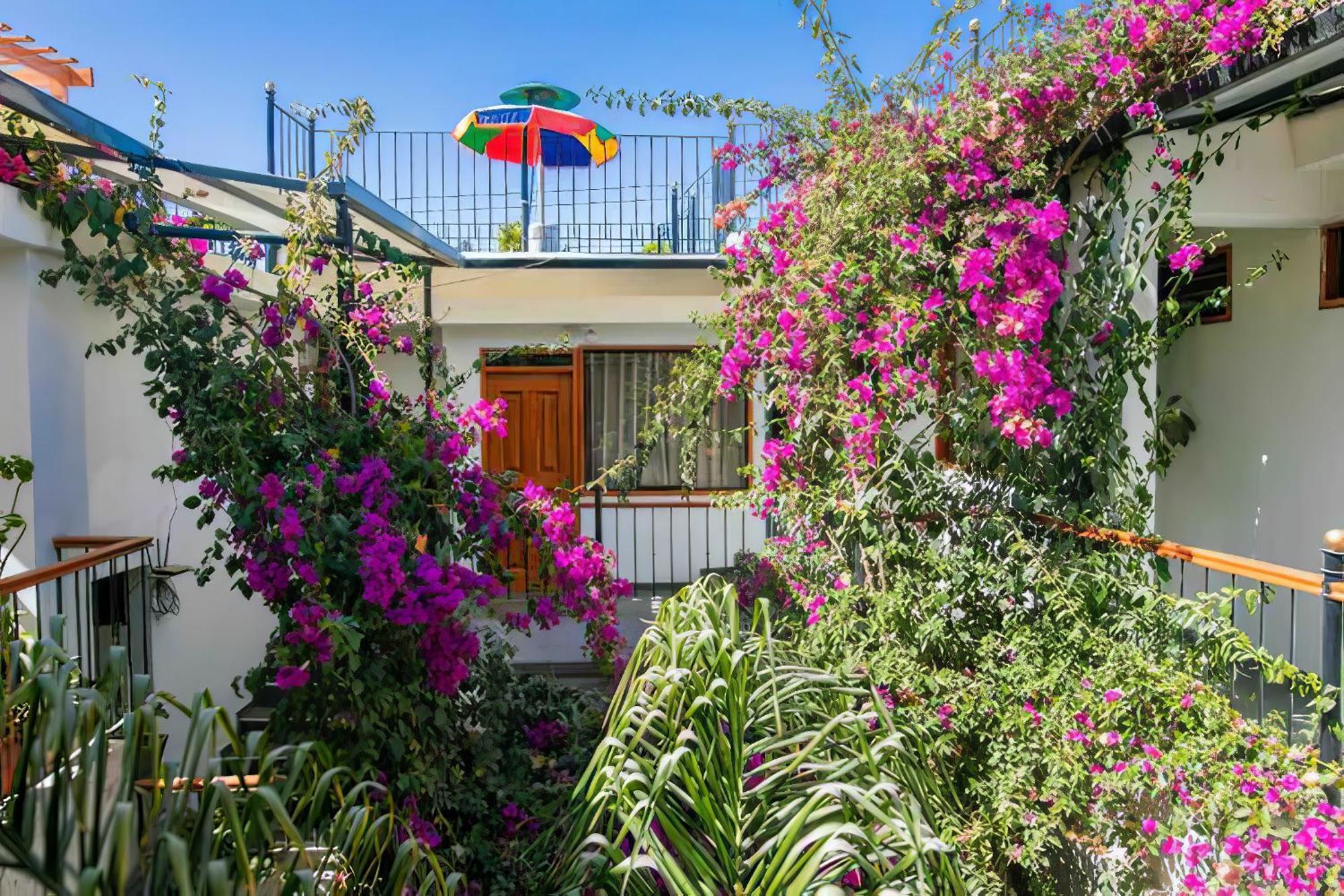 Casa El Errante Hotel Arequipa Eksteriør billede